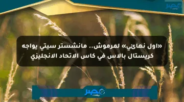 «أول نهائي» لمرموش.. مانشستر سيتي يواجه كريستال بالاس في كأس الاتحاد الإنجليزي